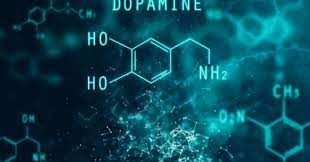 دوپامین - dopamine